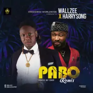 Wallzee - Pabo Remix ft. Harrysong